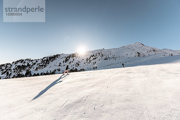 Österreich  Kärnten  Reichenau  Nockberge  Falkert  Mann beim Skitourengehen an einem sonnigen Tag