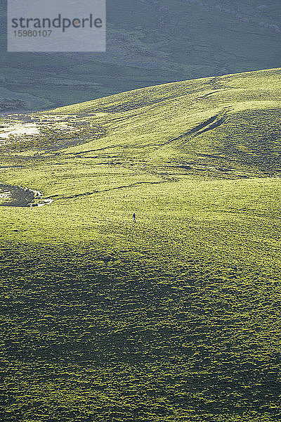Luftaufnahme einer Frau in grüner Landschaft an einem sonnigen Tag  Corvo  Azoren  Portugal