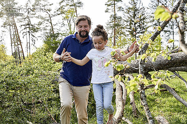 Lächelnder Mann hält die Hände seiner Tochter  die auf einem umgestürzten Baum im Wald spazieren geht