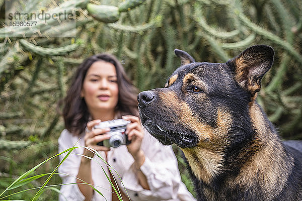 Junge Frau fotografiert Hund vor Pflanzen  Alicante  Provinz Alicante  Spanien