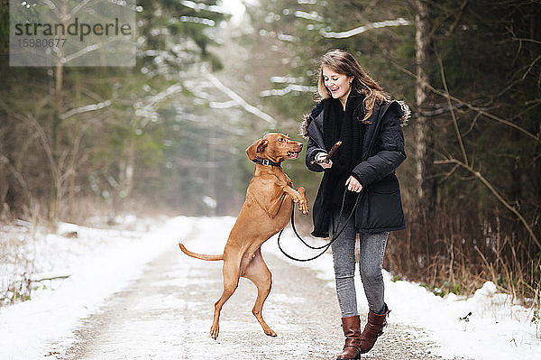 Glückliche junge Frau  die mit ihrem Hund auf einer Straße im Wald spielt