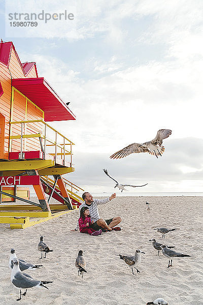 Vater füttert Möwen und sitzt mit seiner Tochter am Strand von Miami  Florida  USA