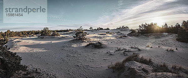 Polen  Pommern  Leba  Sanddüne im Slowinski-Nationalpark bei Sonnenuntergang