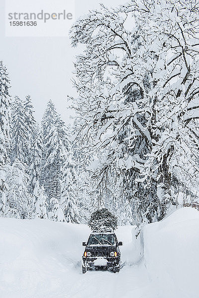 Österreich  Salzburger Land  Lammertal  Auto mit Weihnachtsbaum auf dem Dach auf verschneiter Straße
