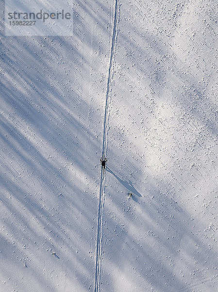 Russland  Leningrad Oblast  Tichwin  Luftaufnahme eines einsamen Skifahrers im Winter
