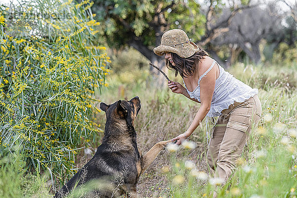 Schöne junge Frau  die einen Stock hält  während sie mit einem Hund bei Pflanzen spielt  Alicante  Provinz Alicante  Spanien