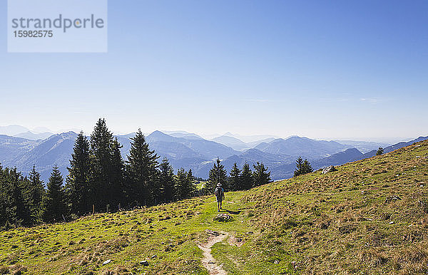 Rückansicht eines Mannes beim Wandern auf dem Schafberg an einem sonnigen Tag in voller Länge