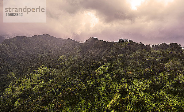 USA  Hawaii  Kauai  Na Pali  Luftaufnahme der mit Wald bedeckten Berge