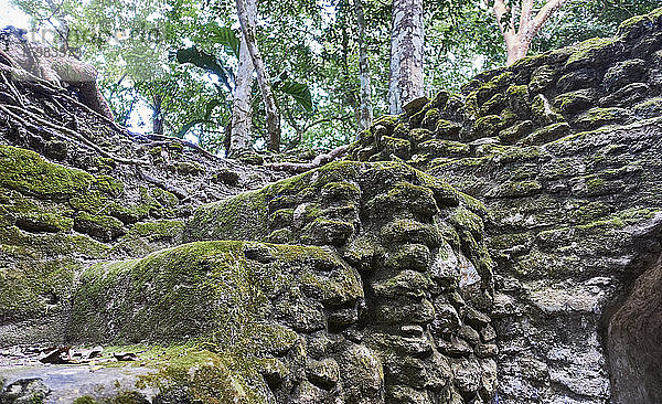 Belize  Blick auf antike Ruinen