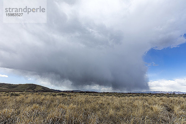 USA  Idaho  Picabo  Sturmwolken über den Feldern