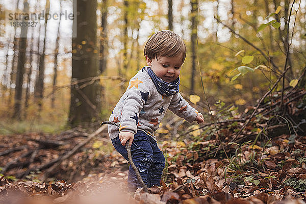 Deutschland  Baden-Wurttenberg  Lenningen  Kleiner Junge spielt im Herbstwald