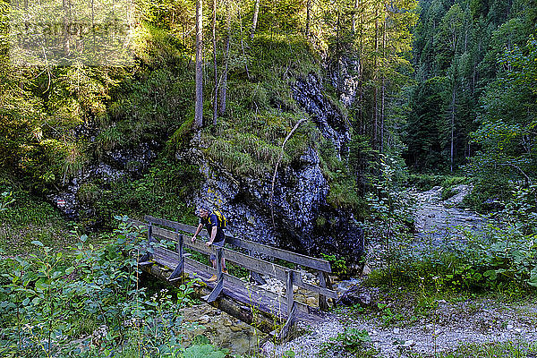 Österreich  Tirol  Steinberg am Rofan  Männlicher Rucksacktourist bewundert den umliegenden Bergwald von einer kleinen schmalen Brücke aus