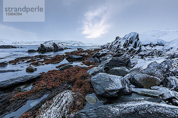 Küstenlandschaft mit Felsen im Winter  Berlevag  Norwegen