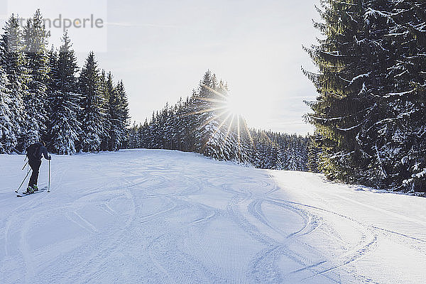 Deutschland  Bayern  Reit im Winkl  Rucksacktouristin beim Skifahren im Winterwald bei Sonnenaufgang