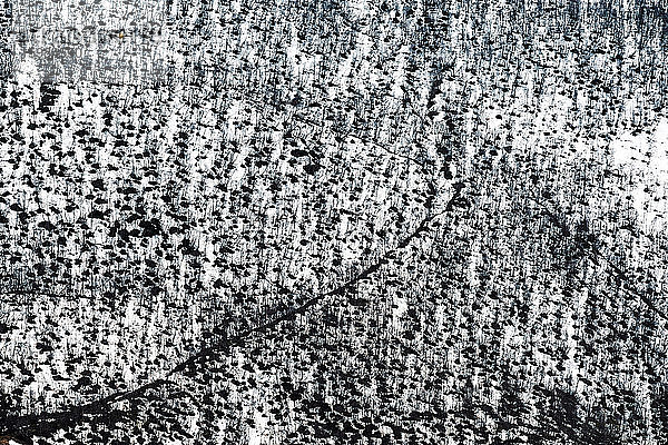Georgien  Swanetien  Ushguli  Luftaufnahme des Winterwaldes