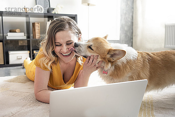 Glückliche Frau mit Laptop im Wohnzimmer zu Hause mit Hund leckt über ihr Gesicht