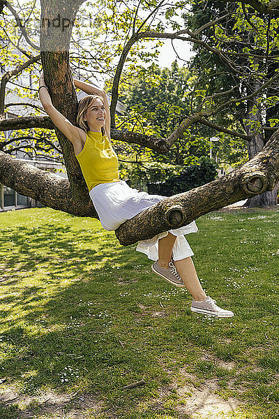 Glückliche Frau sitzt in einem Baum im Park