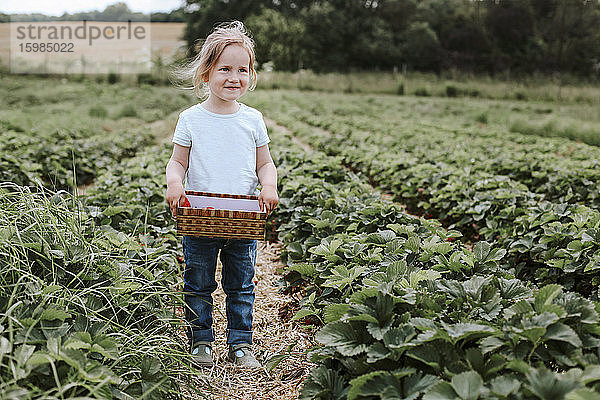 Mädchen pflückt reife Erdbeeren auf einem Feld