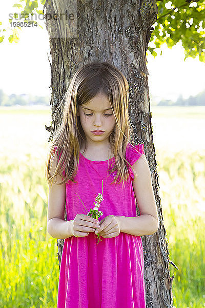 Porträt eines kleinen Mädchens unter einem Apfelbaum mit Kleeblüten in den Händen