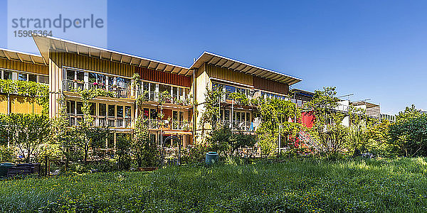 Deutschland  Baden-Württemberg  Freiburg im Breisgau  Rasen vor Häusern in modernem Vorort