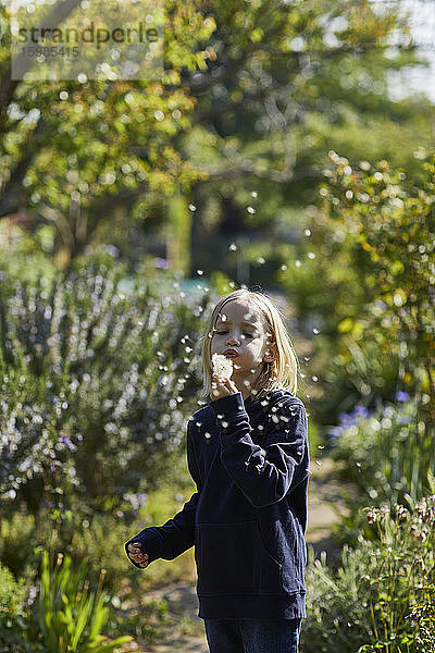 Mädchen im Kleingarten bläst eine Pusteblume