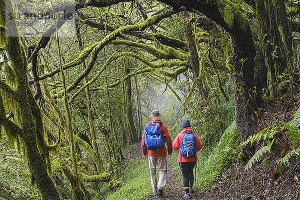 Spanien  Kanarische Inseln  La Gomera  Paar wandert auf Waldweg im Nationalpark Garajonay