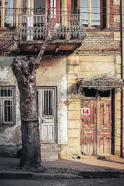 Georgien  Imereti  Kutaisi  Abgestorbener Baum vor altem Gebäude