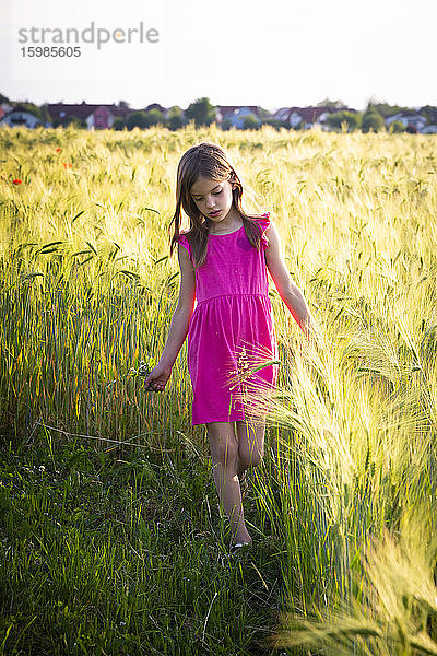 Porträt eines kleinen Mädchens  das am Rande eines Roggenfeldes spazieren geht