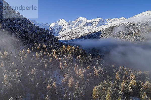 Schweiz  Kanton Graubünden  St. Moritz  Drohnenaufnahme des Nebels über dem bewaldeten Tal des Morteratschgletschers im Herbst