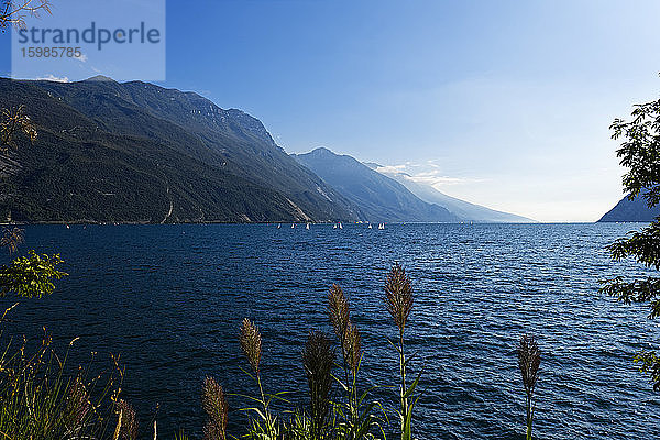 Italien  Trentino  Riva del Garda  Berge und Gardasee mit Gras im Vordergrund