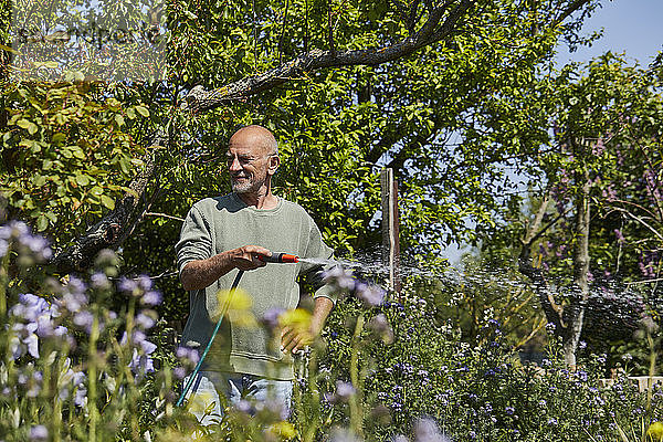 Älterer Mann gießt Blumen im Kleingarten