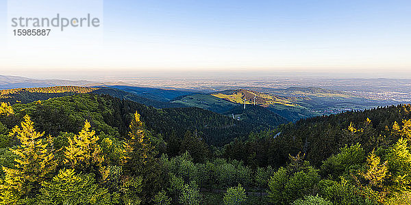 Deutschland  Baden-Württemberg  Blick vom Schauinsland auf die Schwarzwaldkette in der Morgendämmerung