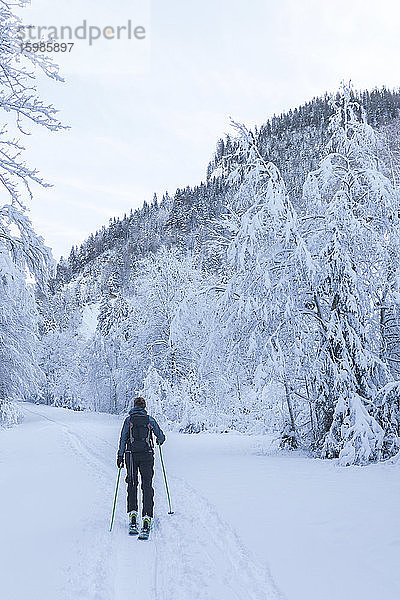 Deutschland  Bayern  Reit im Winkl  Rucksacktouristin beim Skifahren im Winterwald
