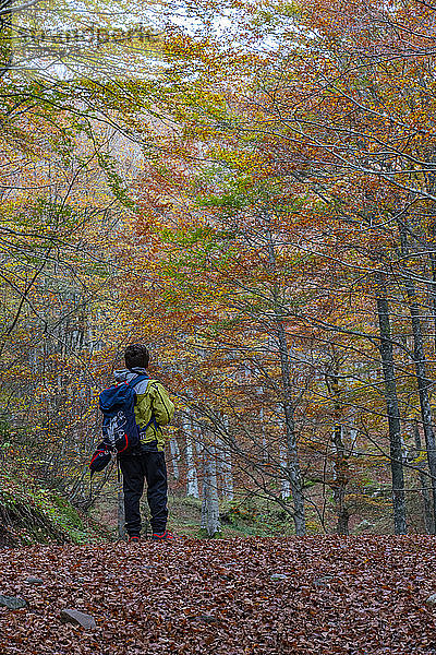 Rückansicht eines Jungen beim Wandern im Wald in voller Länge