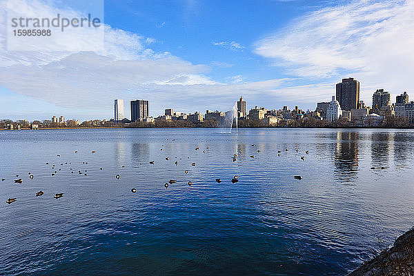 USA  New York  New York City  Entenschwarm schwimmt im Central Park bei Winterdämmerung