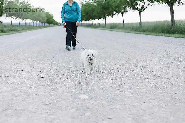 BCrop-Ansicht einer älteren Frau  die mit ihrem Hund in einer Gasse Gassi geht