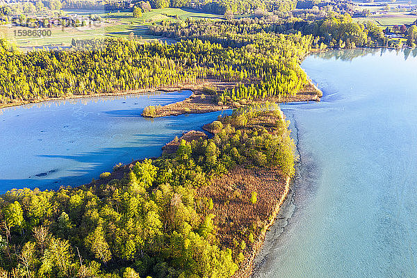 Deutschland  Bayern  Inning am Ammersee  Drohnenansicht des bewaldeten Ufers der Insel Worth
