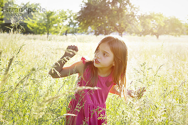 Porträt eines kleinen Mädchens auf einer Sommerwiese