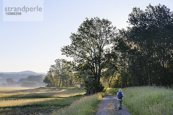 Ältere Frau wandert in voller Länge auf einem Fußweg in Richtung Wald  Bayern  Deutschland