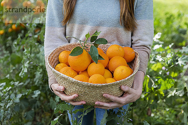 Nahaufnahme einer Frau  die Orangen in einem Weidenkorb trägt  während sie inmitten von Pflanzen auf dem Lande steht