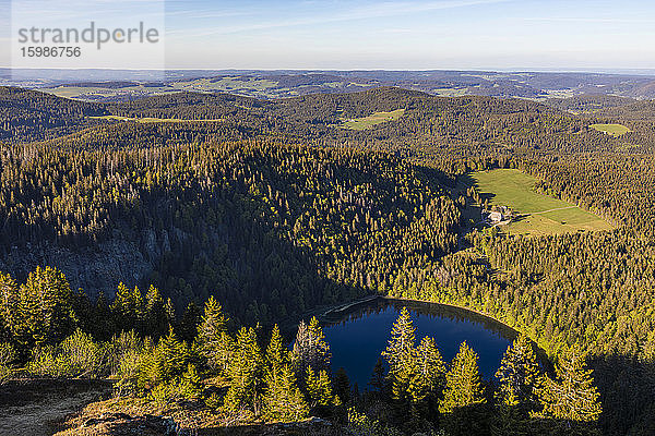 Deutschland  Baden-Württemberg  Feldberg  Blick auf den Feldsee und den umliegenden Wald