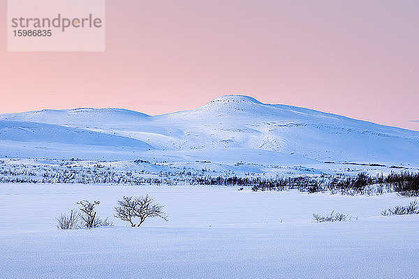 Stimmungsvolle Winterlandschaft  Lebesby  Norwegen