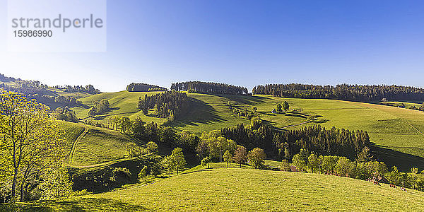Deutschland  Baden-Württemberg  Sankt Peter  Klarer Himmel über der grünen Landschaft des Schwarzwaldes im Frühling