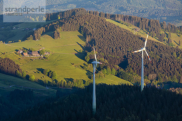 Deutschland  Baden-Württemberg  Windpark im Schwarzwald in der Morgendämmerung