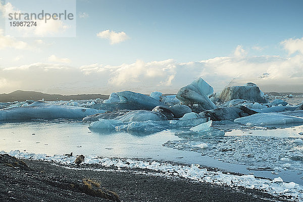 Island  Südisland  Gletschersee Jokulsarlon