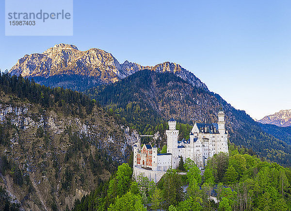 Deutschland  Bayern  Hohenschwangau  Drohnenansicht von Sauling und Schloss Neuschwanstein