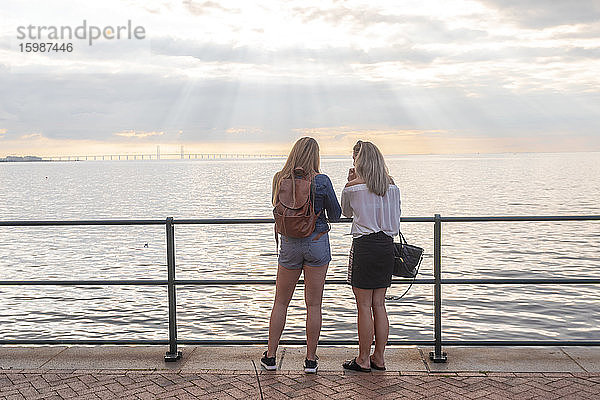 Rückansicht von Freunden  die an der Öresundbrücke am Meer stehen  gegen den bewölkten Himmel