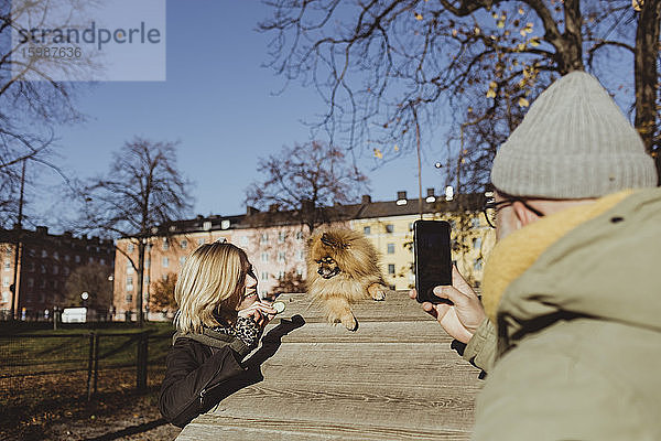 Mann fotografiert Frau  die von Pomeranian beim Hindernislauf im Park Essen in der Hand hält