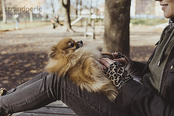 Mitschnitt einer Frau  die mit dem flauschigen Pomeranian auf dem Schoß im Park spielt