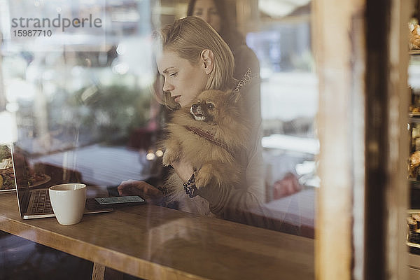 Frau benutzt Smartphone  während sie mit Pomeranian im Café durch ein Fenster gesehen wird